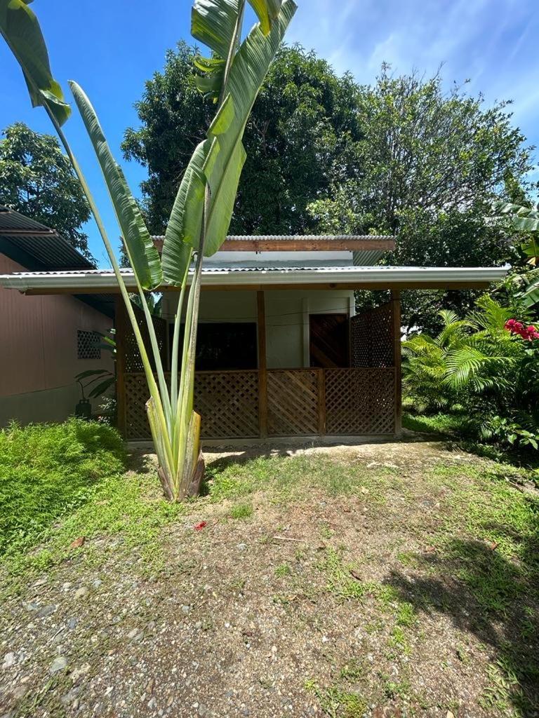 Appartement Ballena Oasis Homes